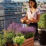 Healing Escort in Toronto – Priya Talbot